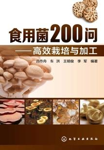 极品道士录