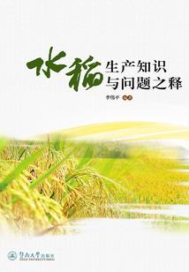 网游之圣之系统