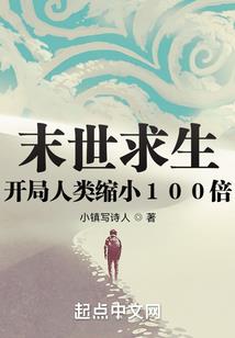 双珠静水芳华传