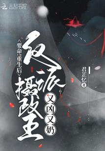 铁骨豪侠传