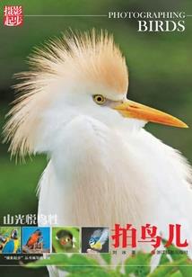 幻世臆想录