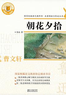柯南之工藤薇