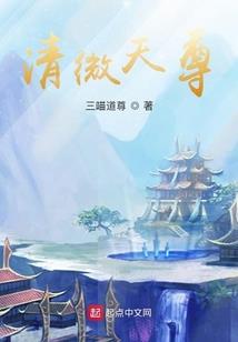 异域之辉