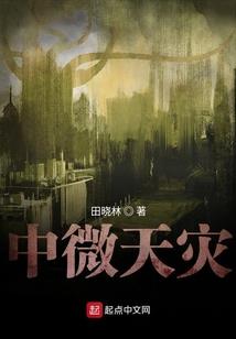 三木丹兰诗集