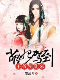 爆笑追妻：豪门少夫人