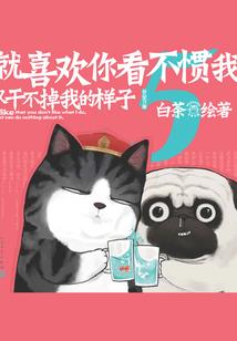 中心英雄