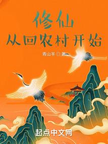 国会大厦上的旗帜