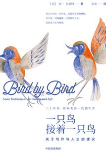 神奇宝贝xyz爱与守护的约定