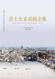 虽然是个大叔却也想当英雄
