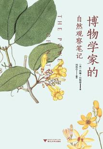 我相公实在太低调了