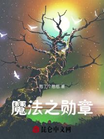 学园都市的level6