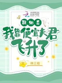 寻轮回