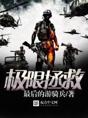 海贼王之海军的正义