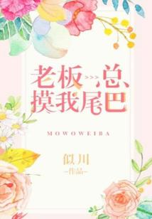 不能说谎的人