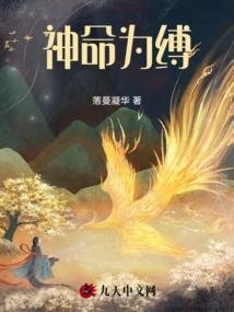 契约：魔法少女