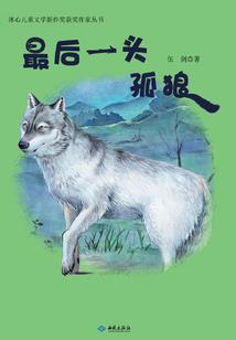 逸能魔术师