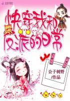岁月未了