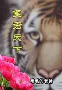 乱北斗