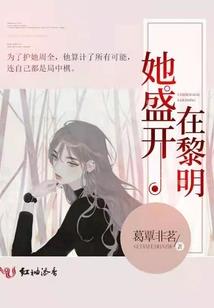 丫鬟升迁记