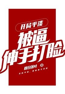 憾世大陆