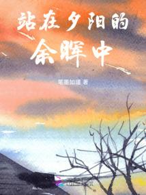 光影如歌