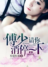 半翼天使的信笺