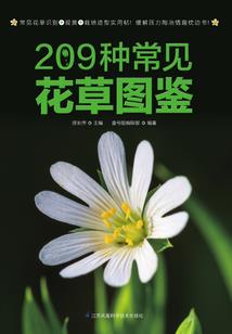 时空之超级矿工