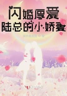 晨晨晨我的光