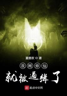 纤纤录