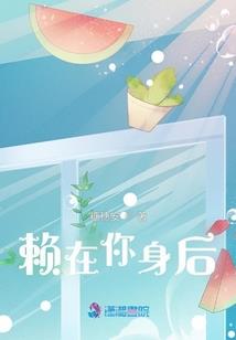 现代赖布衣传说系列