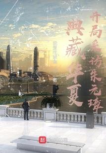 皮小酷的海贼之旅