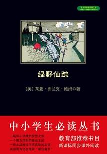 穿梭于魔法世界的歼星舰