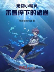 龙魔法师传奇