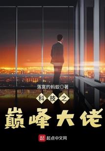 电梦网缘