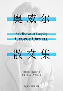 一个虚幻又真实的故事