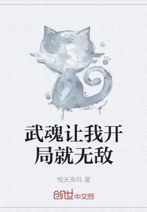 本象大陆