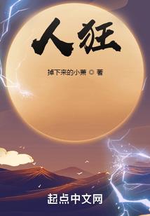 系统：悟道茶