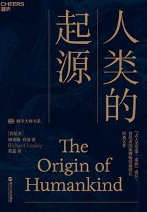 网游之少侠莫再神补刀