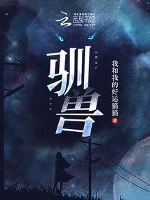 侠丐张三