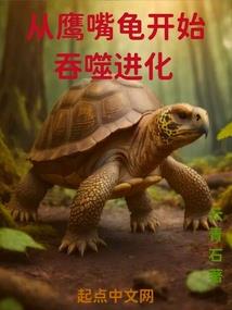 梦仙缘