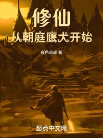 十一颗的流光