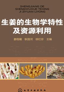 黑蝴蝶结