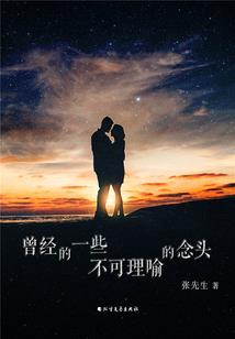 八两九传奇