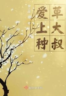他静悄悄来过