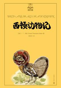 炎纪