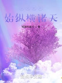混迹之征服