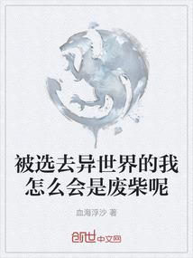 机动战士高达0084南风的誓言