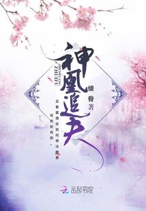 银翼战刃——风闪云