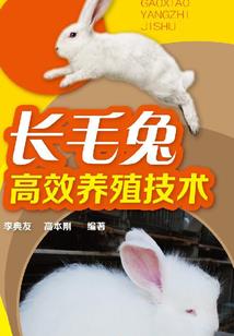 死 离 散