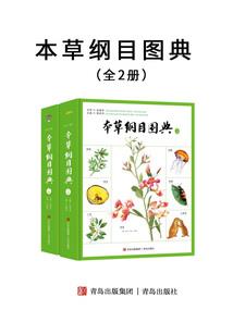 盛世欺君：爹爹娘亲又跑啦